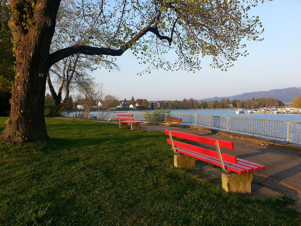 他需要在接 他需要在接