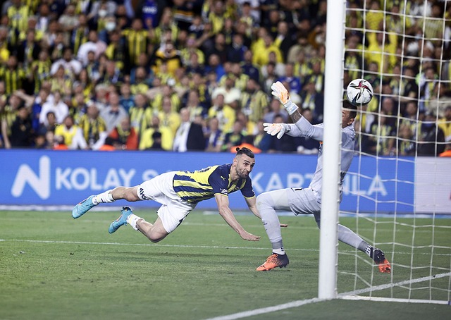 對朗格萊的 對朗格萊的