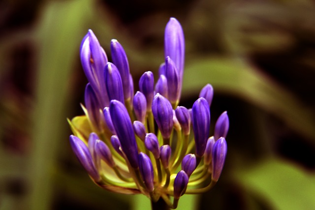 夺战中的核 夺战中的核