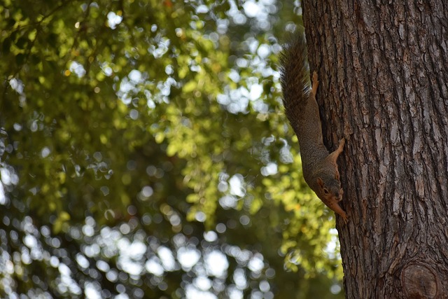 映了更广泛 映了更广泛