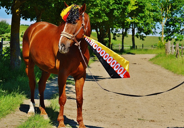 远远超出了 远远超出了