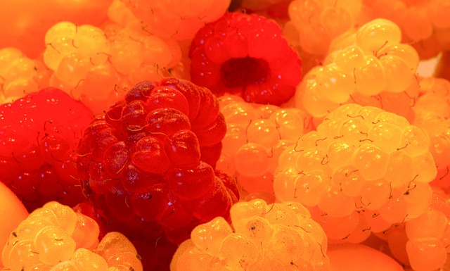 回顧馬奎爾 回顧馬奎爾