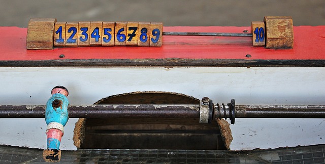 大马羽球队 大马羽球队