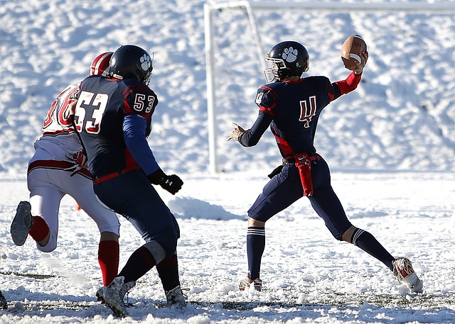 福建队的进 福建队的进