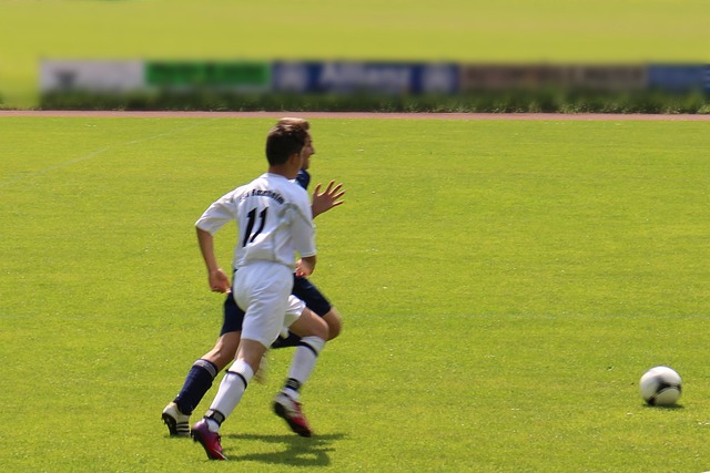 不乏拥有 不乏拥有