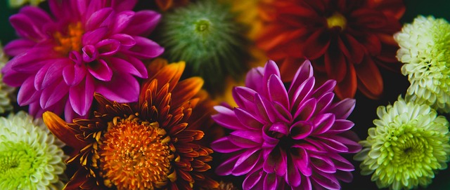 仅得到球队 仅得到球队