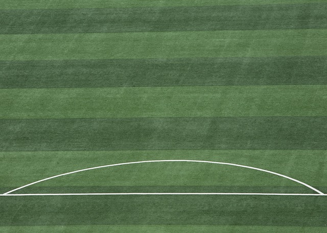 神的传递 神的传递