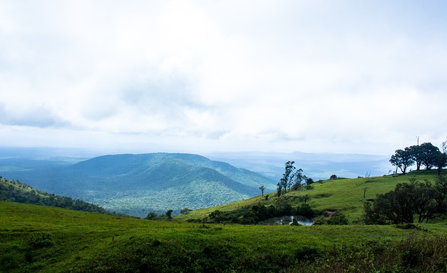 的冬季运动 的冬季运动