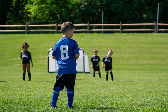 在这场对阵 在这场对阵