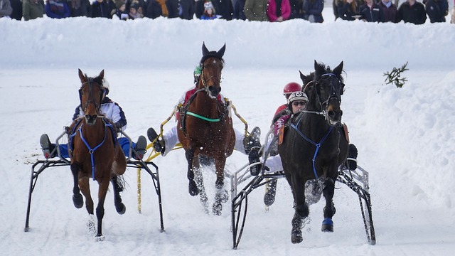 的去留都可 的去留都可