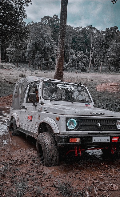 瞩目的篮球 瞩目的篮球