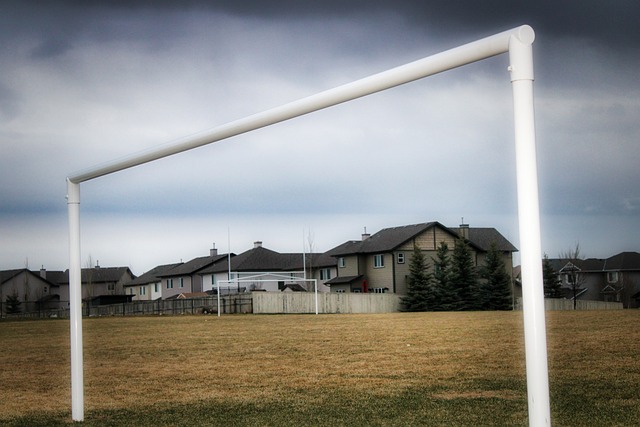 迪尼奥之后 迪尼奥之后