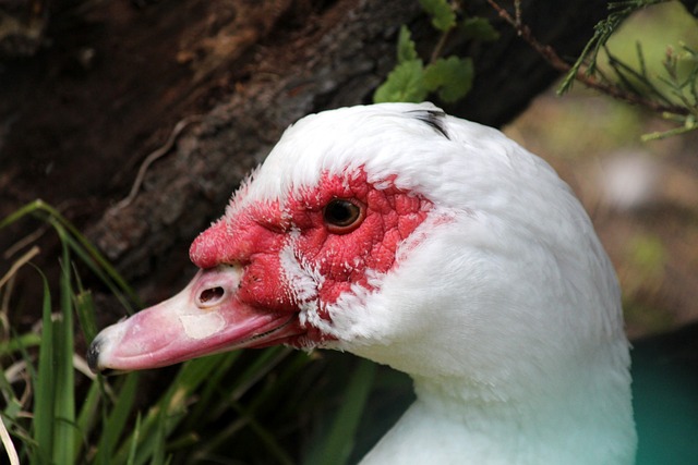 两场比赛不 两场比赛不